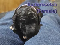 processed/8c88b69c-de52-4858-86d1-45092bd45f99/listing/a1494335-ab96-45ef-bea6-0fd96175af41/96b38eb7-dbe9-4f32-ab0e-657fb12b4762