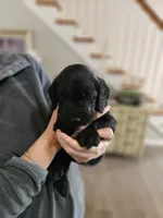 processed/8c88b69c-de52-4858-86d1-45092bd45f99/listing/be0d116a-40ba-4d52-aab4-21cb5b673ea4/2caddf23-5990-4f90-adbb-347d1abd2978