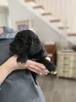 processed/8c88b69c-de52-4858-86d1-45092bd45f99/listing/c16c5020-c225-4f2a-ae1e-76a6e1af7955/92be4c42-7ae3-4b8d-80aa-54325486145c