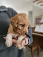 processed/8c88b69c-de52-4858-86d1-45092bd45f99/listing/caa43175-5186-46b2-94e3-82e98843f574/24a56a4c-4996-46b6-bb50-82fa79d29153