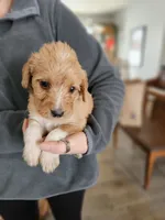 processed/8c88b69c-de52-4858-86d1-45092bd45f99/listing/caa43175-5186-46b2-94e3-82e98843f574/cc0511a9-29e8-446a-b240-1bee9950d2ee