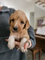 processed/8c88b69c-de52-4858-86d1-45092bd45f99/listing/caa43175-5186-46b2-94e3-82e98843f574/f96ed885-ecda-4340-b271-9c1836f4fa8e