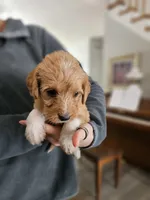 processed/8c88b69c-de52-4858-86d1-45092bd45f99/listing/caa43175-5186-46b2-94e3-82e98843f574/fbc9c06a-3a3f-4ea4-84bc-f04ab682aa85