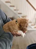 processed/8c88b69c-de52-4858-86d1-45092bd45f99/listing/caa43175-5186-46b2-94e3-82e98843f574/fc9e59fd-1f03-4176-bfe5-e60270447253