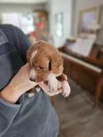 processed/8c88b69c-de52-4858-86d1-45092bd45f99/listing/e0731b13-61f6-4f79-acb8-37af2509d912/06a47c15-b6b7-433e-a4e7-4e99e2d80bf7