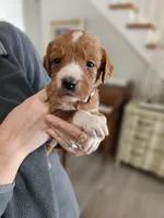 processed/8c88b69c-de52-4858-86d1-45092bd45f99/listing/e0731b13-61f6-4f79-acb8-37af2509d912/0c41f911-7335-42de-b9fe-58a64c30a744