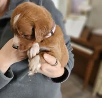 processed/8c88b69c-de52-4858-86d1-45092bd45f99/listing/e0731b13-61f6-4f79-acb8-37af2509d912/31d716b0-8611-47f4-b5ec-3bf05c9ccc91