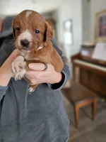 processed/8c88b69c-de52-4858-86d1-45092bd45f99/listing/e0731b13-61f6-4f79-acb8-37af2509d912/462f0bbd-8347-4585-8aef-5d5260bc0fe7