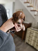 processed/8c88b69c-de52-4858-86d1-45092bd45f99/listing/e0731b13-61f6-4f79-acb8-37af2509d912/80f42c5d-94dd-4f68-965d-f201a0258367