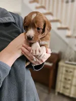 processed/8c88b69c-de52-4858-86d1-45092bd45f99/listing/e0731b13-61f6-4f79-acb8-37af2509d912/be079b5e-4ec7-497d-8744-8ba5c49fa511