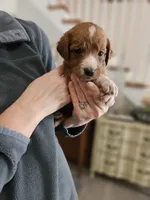 processed/8c88b69c-de52-4858-86d1-45092bd45f99/listing/e0731b13-61f6-4f79-acb8-37af2509d912/ce4b0d63-ebf3-4fda-903b-57185577f6c1