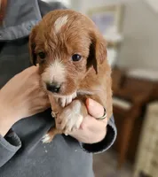 processed/8c88b69c-de52-4858-86d1-45092bd45f99/listing/e0731b13-61f6-4f79-acb8-37af2509d912/ee737624-03a9-4f88-8669-6ccffc17d6de