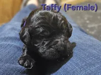 processed/8c88b69c-de52-4858-86d1-45092bd45f99/listing/f0948d4d-01f5-481b-ba2f-f84d51226afc/2882a4ff-af7a-49c7-b80f-bf4c8649bf8f