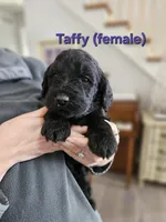 processed/8c88b69c-de52-4858-86d1-45092bd45f99/listing/f0948d4d-01f5-481b-ba2f-f84d51226afc/358aebb0-429e-4297-82c7-21fd3cb80fe6