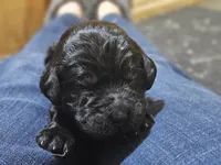 processed/8c88b69c-de52-4858-86d1-45092bd45f99/listing/f0948d4d-01f5-481b-ba2f-f84d51226afc/375ee2b3-bd56-4574-b21d-55ff078933d7