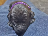 processed/8c88b69c-de52-4858-86d1-45092bd45f99/listing/f0948d4d-01f5-481b-ba2f-f84d51226afc/5f36e357-17b1-4487-82e6-5b543a4faf2a