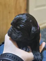 processed/8c88b69c-de52-4858-86d1-45092bd45f99/listing/f0948d4d-01f5-481b-ba2f-f84d51226afc/9d3ffd80-86fc-49fe-aa44-5b3c785b937d