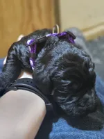 processed/8c88b69c-de52-4858-86d1-45092bd45f99/listing/f0948d4d-01f5-481b-ba2f-f84d51226afc/e56af6b0-236e-41a6-aaba-b59d60b10443