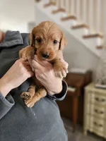 processed/8c88b69c-de52-4858-86d1-45092bd45f99/listing/ff404e07-f7d5-4143-85bd-76f30339d146/54b8372d-72f5-4d7a-8e1f-0a9e332417fc