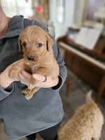 processed/8c88b69c-de52-4858-86d1-45092bd45f99/listing/ff404e07-f7d5-4143-85bd-76f30339d146/5fa19bd3-a5b4-4a94-b167-99951519ea5f