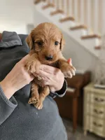 processed/8c88b69c-de52-4858-86d1-45092bd45f99/listing/ff404e07-f7d5-4143-85bd-76f30339d146/828002d8-99f5-47b2-8bea-b0ab1ec93fbc