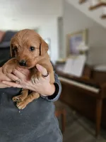 processed/8c88b69c-de52-4858-86d1-45092bd45f99/listing/ff404e07-f7d5-4143-85bd-76f30339d146/b587b4f1-1071-45ae-bfea-f1e0523be479