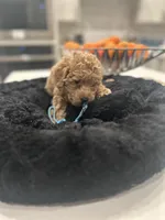 processed/8c9d1d20-e0f8-47b2-98d2-f0f2719412c3/listing/f65e7756-94d3-4039-918e-5a09de0c295a/cce9959a-e38f-4a0d-ae78-4822d3fb3ceb