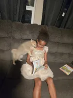 Ruby , a female Pomeranian for sale in Panama City, FL – 5 of 7