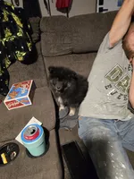 processed/8ca1a103-5a7a-4f3b-89dc-185faee26cc9/listing/805a8a96-968b-4ded-a661-0c65a27072cb/1caddefe-1ef6-4826-a198-6e5cfeae6717