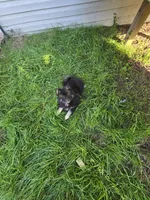 processed/8ca1a103-5a7a-4f3b-89dc-185faee26cc9/listing/805a8a96-968b-4ded-a661-0c65a27072cb/1e9731e8-d148-49c7-bc65-4108f3d7b68f