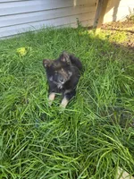 processed/8ca1a103-5a7a-4f3b-89dc-185faee26cc9/listing/805a8a96-968b-4ded-a661-0c65a27072cb/420f0f40-fecd-49a8-83fc-88b0c8438330