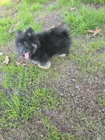 processed/8ca1a103-5a7a-4f3b-89dc-185faee26cc9/listing/805a8a96-968b-4ded-a661-0c65a27072cb/5fc83b73-0728-4d64-ad78-483f1c2e8d96