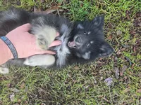 processed/8ca1a103-5a7a-4f3b-89dc-185faee26cc9/listing/805a8a96-968b-4ded-a661-0c65a27072cb/7d628594-d8f0-46b7-97f3-da6e4075b228