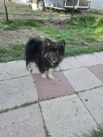 processed/8ca1a103-5a7a-4f3b-89dc-185faee26cc9/listing/805a8a96-968b-4ded-a661-0c65a27072cb/94d65b72-97d6-44ca-a7ff-9f4d5ccfcbe5