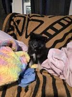 processed/8ca1a103-5a7a-4f3b-89dc-185faee26cc9/listing/805a8a96-968b-4ded-a661-0c65a27072cb/9fcaa929-c38f-4151-81bb-5338609b3998