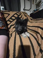 processed/8ca1a103-5a7a-4f3b-89dc-185faee26cc9/listing/805a8a96-968b-4ded-a661-0c65a27072cb/bbcbe061-6363-4c96-aeb2-96e0f2ed54f4