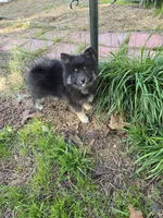 processed/8ca1a103-5a7a-4f3b-89dc-185faee26cc9/listing/805a8a96-968b-4ded-a661-0c65a27072cb/f2482edc-f9af-4562-b4cc-4b419691fe9b