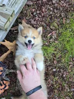 processed/8ca1a103-5a7a-4f3b-89dc-185faee26cc9/listing/c2bdc0ec-15d9-43fa-9cdd-8a33e3dd48bd/5d0b3859-aa5f-472d-bd7e-cbce4d854861