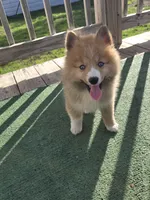 processed/8ca1a103-5a7a-4f3b-89dc-185faee26cc9/listing/c2bdc0ec-15d9-43fa-9cdd-8a33e3dd48bd/6092c1ec-0400-453a-b70d-0151366721b0