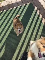 processed/8ca1a103-5a7a-4f3b-89dc-185faee26cc9/listing/c2bdc0ec-15d9-43fa-9cdd-8a33e3dd48bd/7404457a-54fc-4fcb-8d4d-f29e65930566