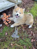 processed/8ca1a103-5a7a-4f3b-89dc-185faee26cc9/listing/c2bdc0ec-15d9-43fa-9cdd-8a33e3dd48bd/845f50fa-c1f2-4711-b5ab-3013a1fd6785