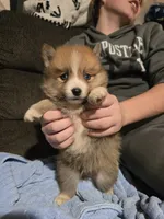 processed/8ca1a103-5a7a-4f3b-89dc-185faee26cc9/listing/c2bdc0ec-15d9-43fa-9cdd-8a33e3dd48bd/b55af15d-36b5-4bd8-a209-2af30bb9b0b4