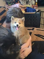 processed/8ca1a103-5a7a-4f3b-89dc-185faee26cc9/listing/c2bdc0ec-15d9-43fa-9cdd-8a33e3dd48bd/bc94150e-b46b-4d51-a9c0-35e09126366d