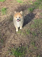 processed/8ca1a103-5a7a-4f3b-89dc-185faee26cc9/listing/c2bdc0ec-15d9-43fa-9cdd-8a33e3dd48bd/c6fccf8f-882e-4f03-8bdb-adc9e2287cf2