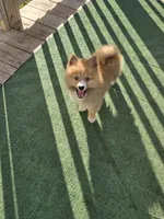 processed/8ca1a103-5a7a-4f3b-89dc-185faee26cc9/listing/c2bdc0ec-15d9-43fa-9cdd-8a33e3dd48bd/ec242297-f80c-4ab7-8309-baa2d6d4203a