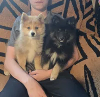 processed/8ca1a103-5a7a-4f3b-89dc-185faee26cc9/listing/c2bdc0ec-15d9-43fa-9cdd-8a33e3dd48bd/f0465d1c-7264-4702-801d-60ae1db83a2e