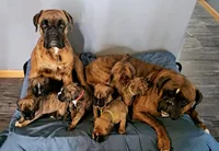 processed/8ca38615-a1c7-4fd4-8e98-5bf555300d75/facility/e8459021-73ca-4383-8a23-c8457f5886a6