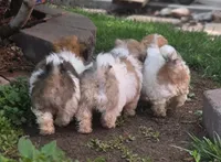 processed/8cac07e2-1b19-46c9-86f5-9ff5644eebd3/facility/dfdb5b89-31fa-42b0-a399-6036447b9685