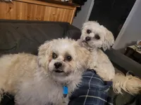 processed/8cac07e2-1b19-46c9-86f5-9ff5644eebd3/facility/ef18fd8f-5389-47a4-a17a-d3e1eaf97277