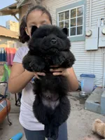 processed/8cbcab13-6a9b-4442-aa34-c806aeb8c416/facility/29d6498e-4ba5-48ce-bf62-40be796be123